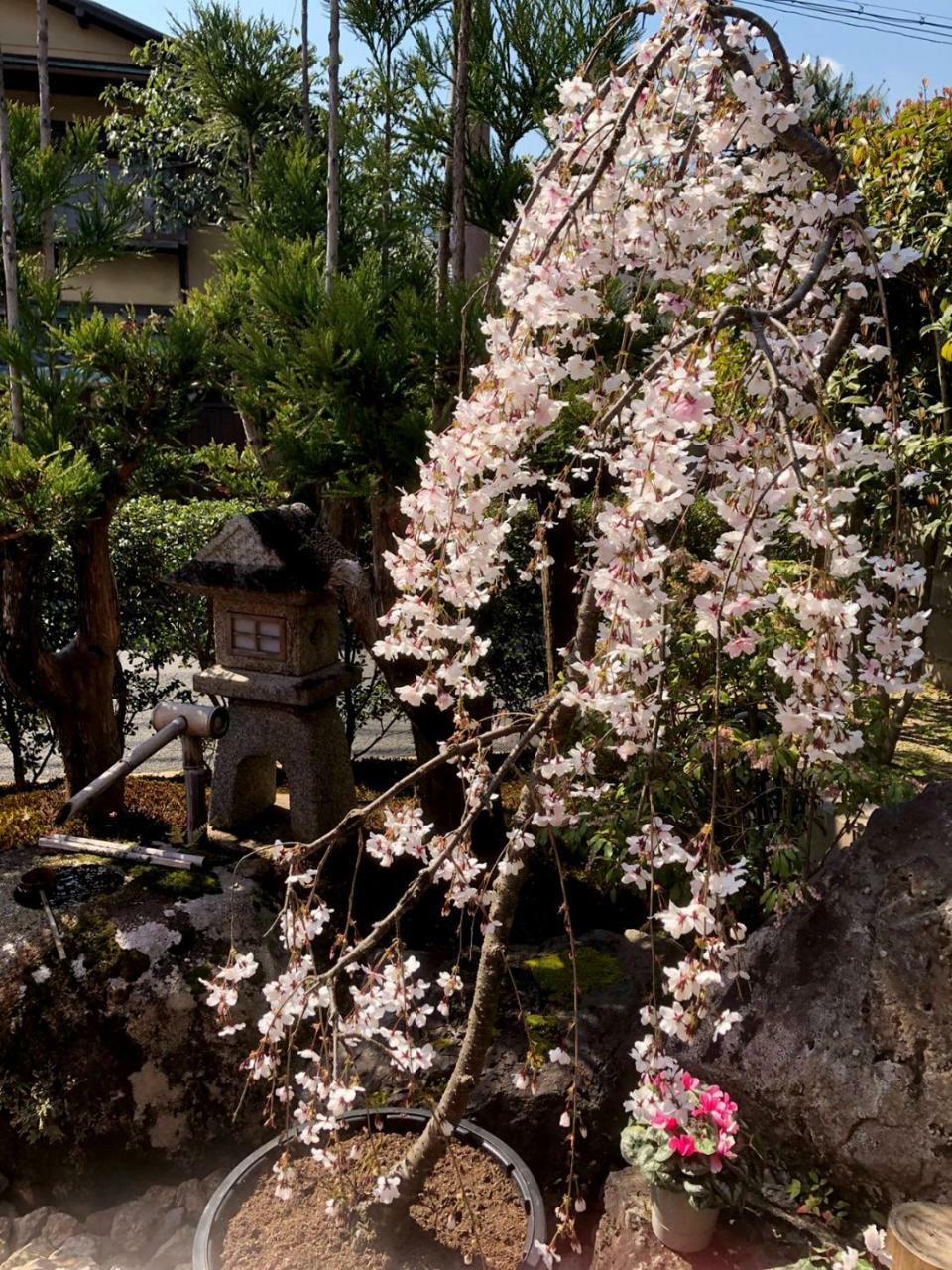 Hostel Kyoto Arashiyama Muko Esterno foto