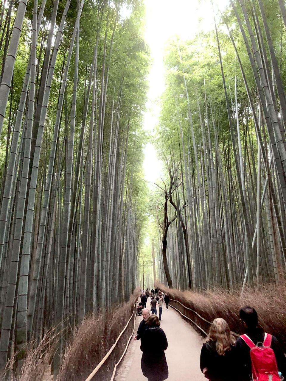 Hostel Kyoto Arashiyama Muko Esterno foto